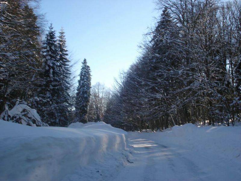 DSC00781__800x600_.JPG