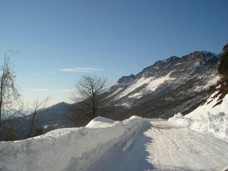 DSC00784__800x600_.JPG