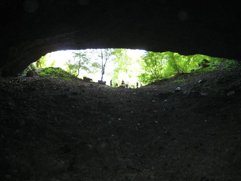 IMG_0964__800x600_.jpg