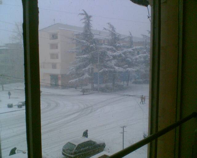 Foto029.jpg