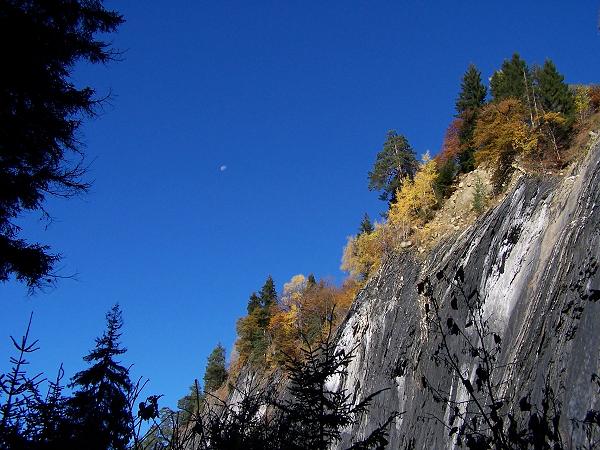 Picture_169.JPG
