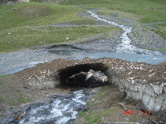 Picture_722_00.jpg
