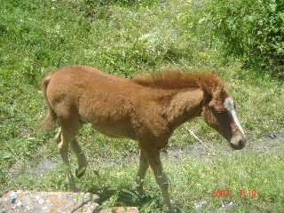 Picture_641_00.jpg
