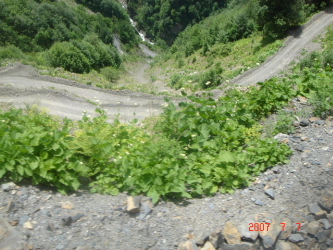 Picture_591_00.jpg