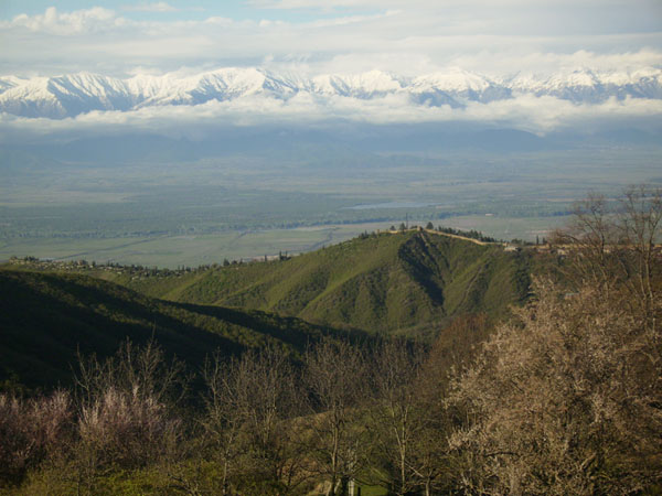 signagi1.jpg