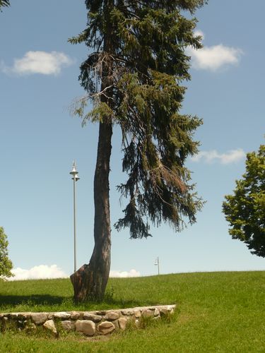 P1040823__375x500_.JPG