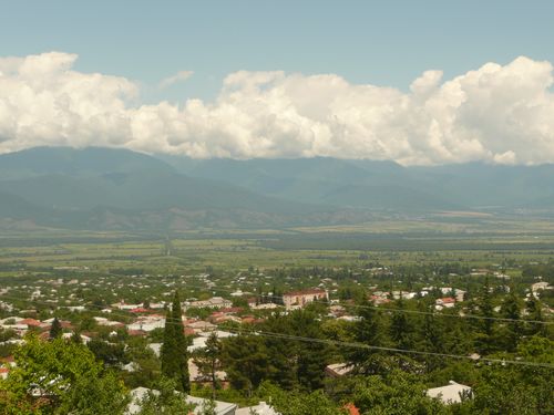 P1040834__500x375_.JPG