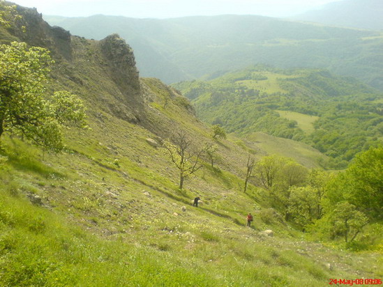 DSC001889.jpg