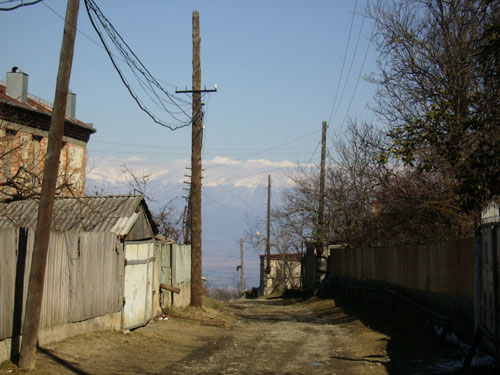 P2250013.JPG