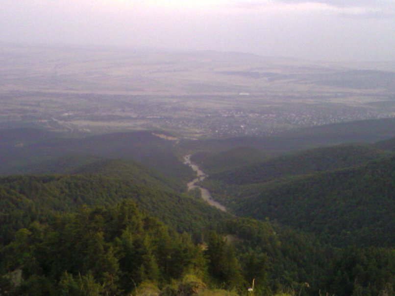 paata_0139.jpg