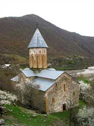 tadzari_1_.jpg