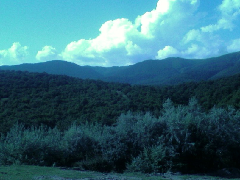paata_0117.jpg