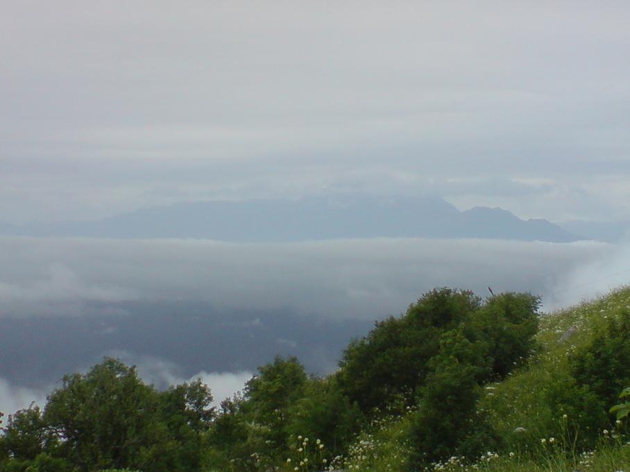 DSC01573.JPG