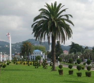 CIMG1673.JPG
