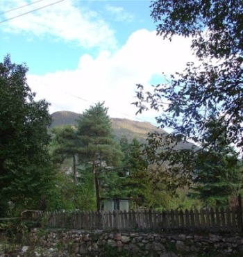 DSC07357.JPG