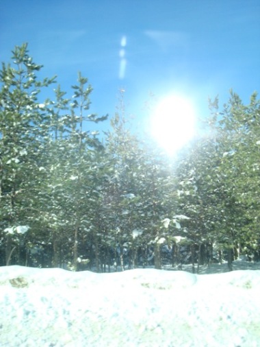 DSC03813.JPG