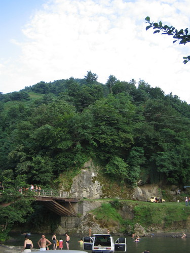 8854879.jpg