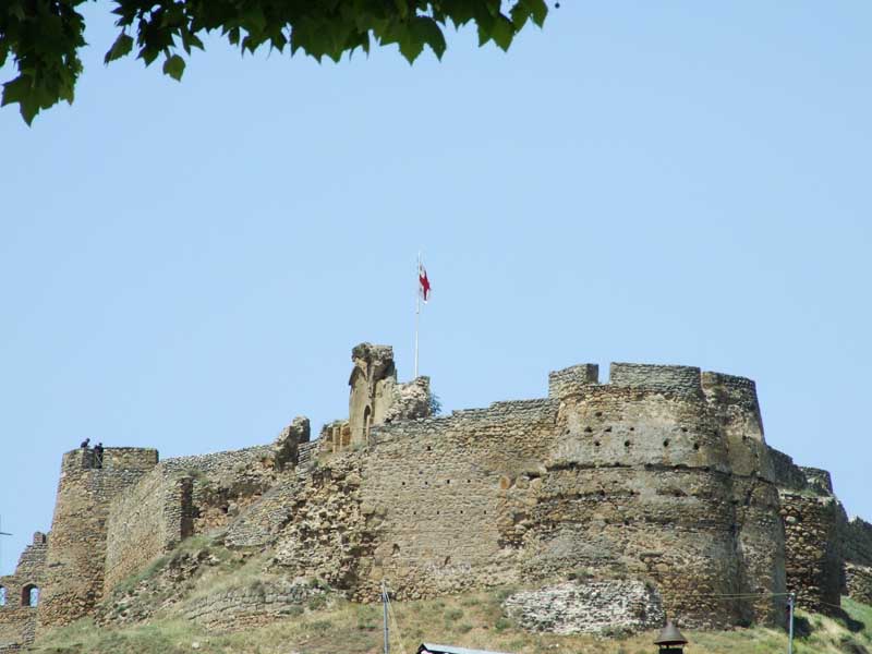 Picture_081.jpg