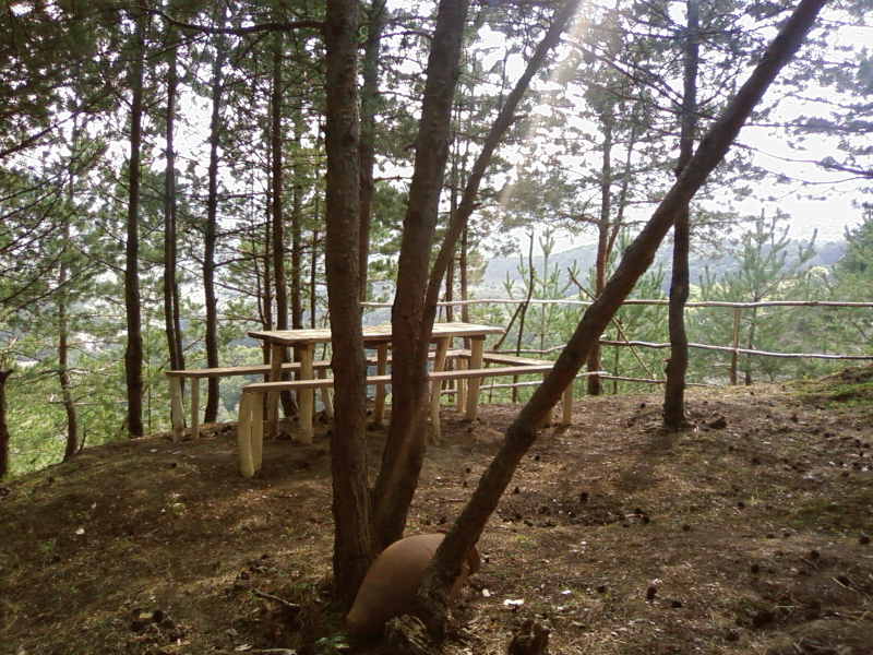 SP_A0783.jpg