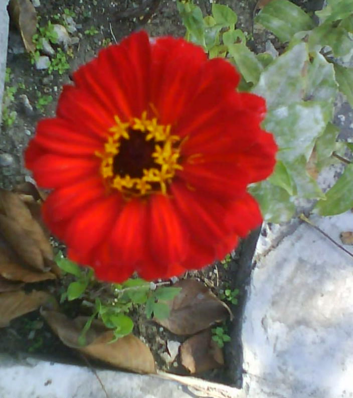 DSC00188.JPG
