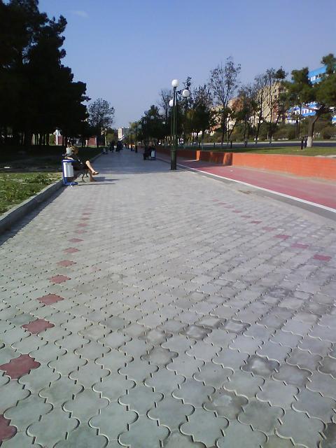 DSC00192.JPG