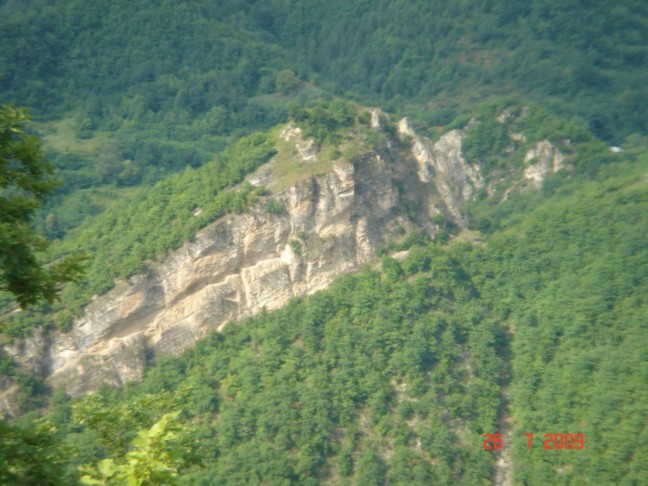 Picture_112__50____50__.jpg