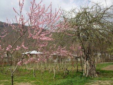 STP88496__380x285_.jpg
