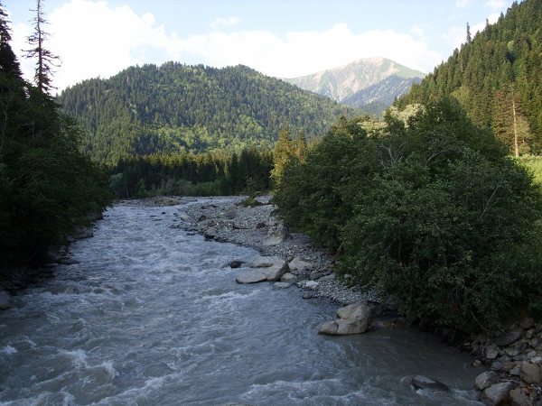 STP83382_20_800x600_.jpg