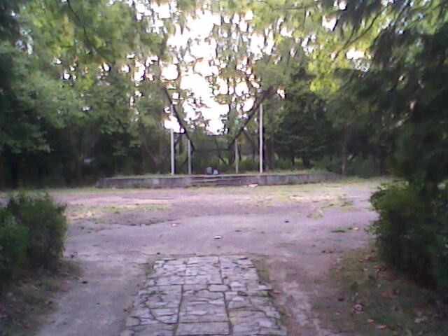 adgili.jpg