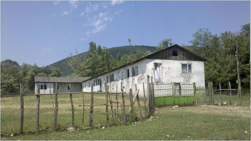 Picture1.jpg