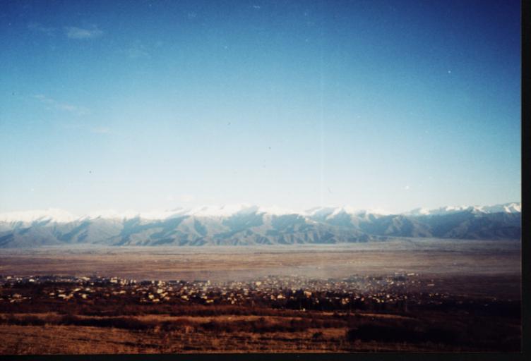 Picture_013.jpg