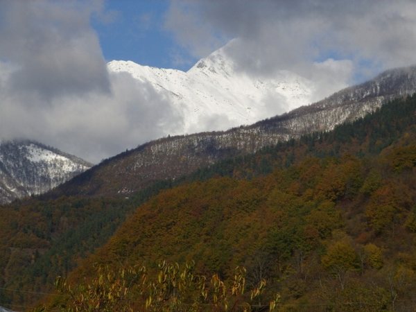 STP83753__800x600_.jpg
