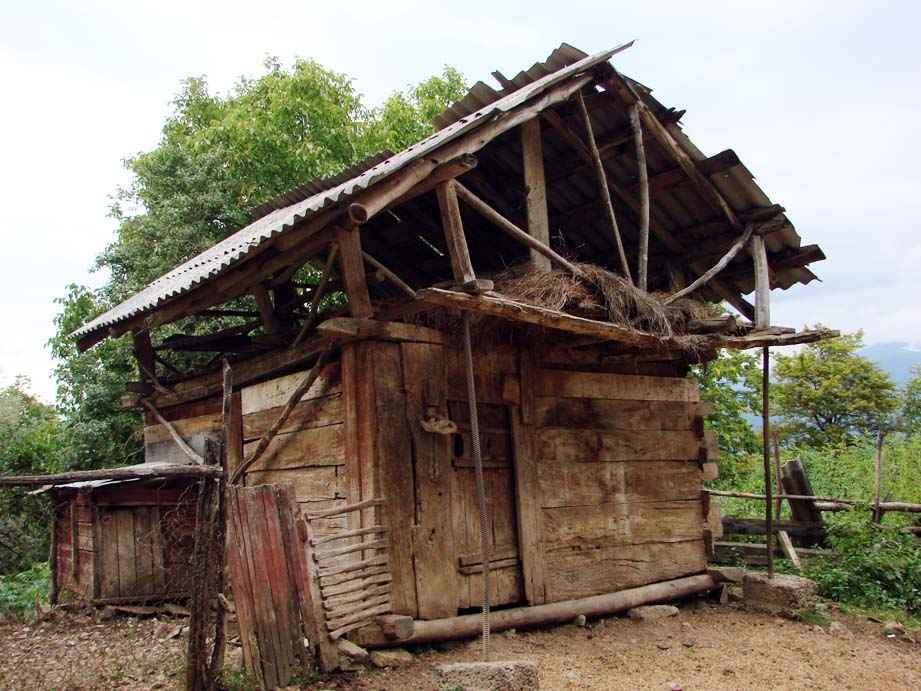bosluka.JPG