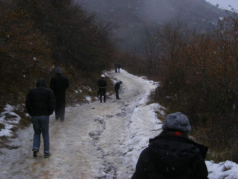 Picture_063.jpg