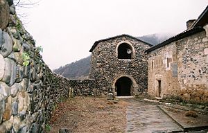 300px_Ubisa__3_.JPG