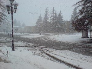 DSC03742.JPG
