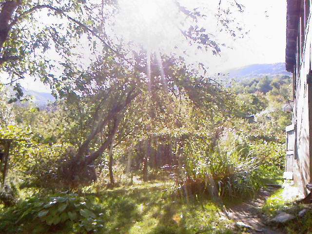 A_0518.jpg