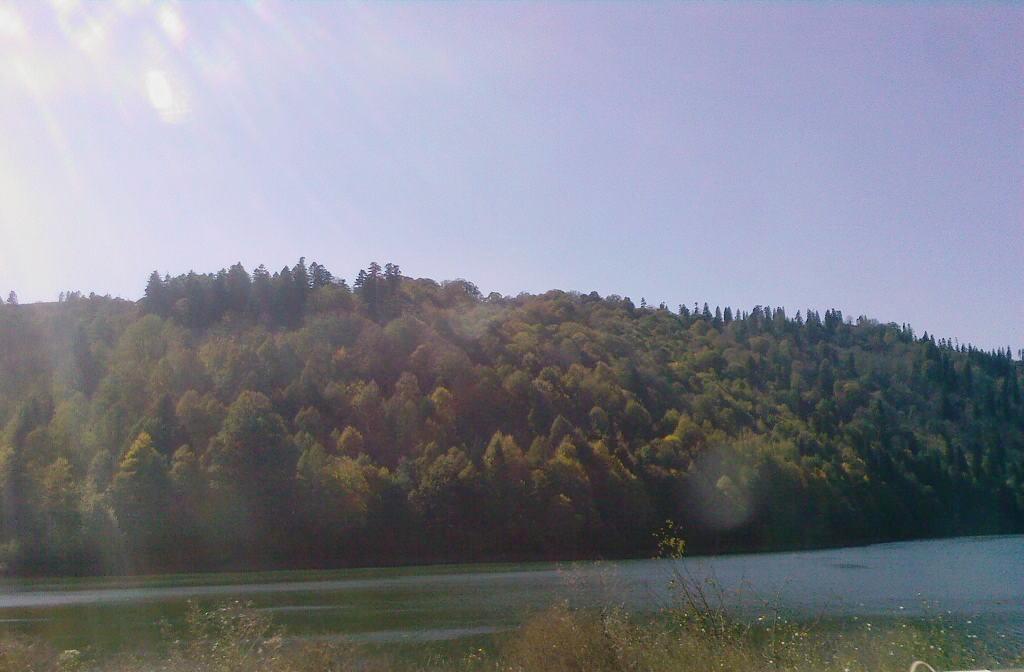 A_0544.jpg