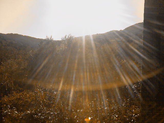 A_0517.jpg