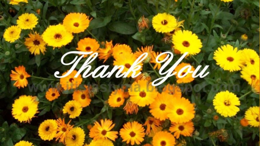 Thank_You_flowers.jpg