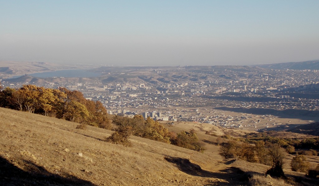 DSCN0662.jpg