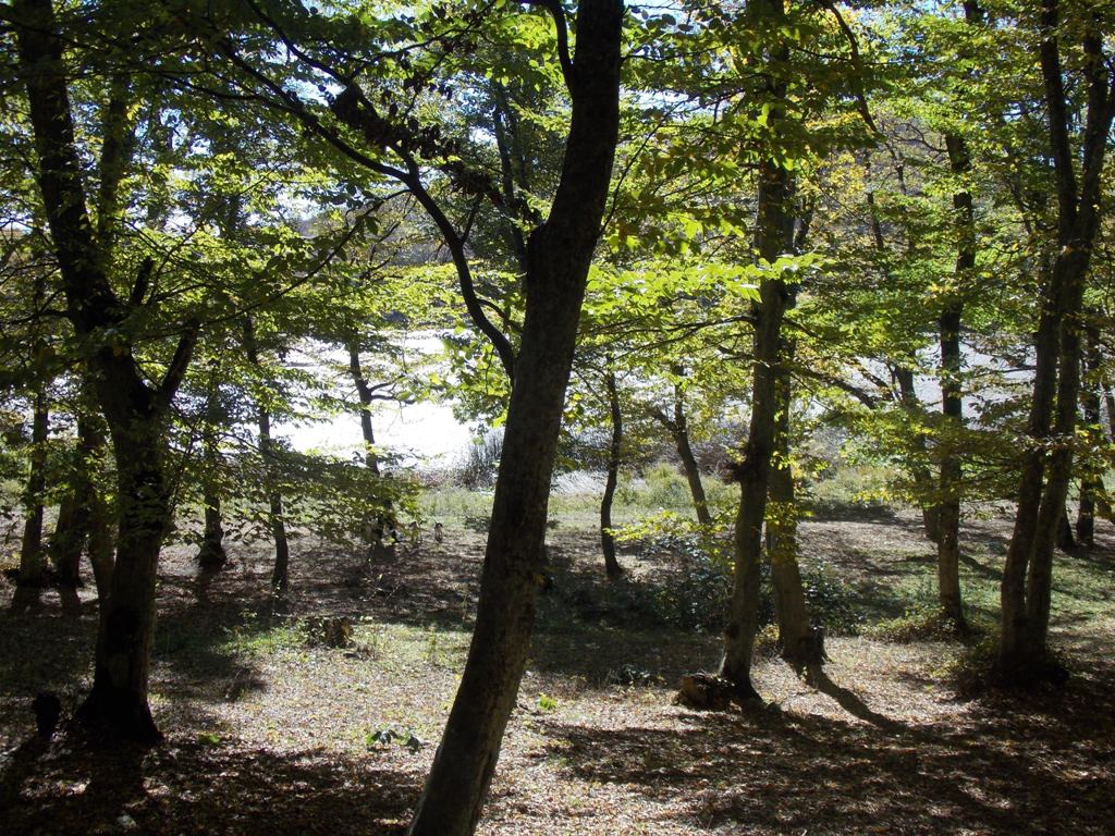DSCN0532.jpg