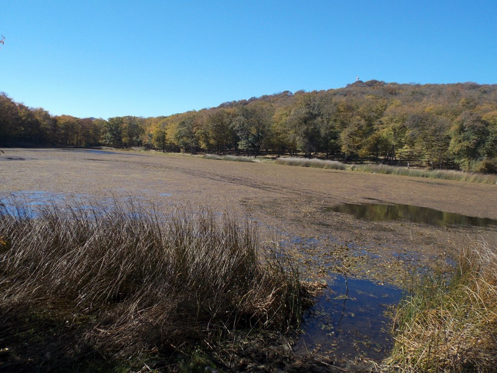 DSCN0538.jpg