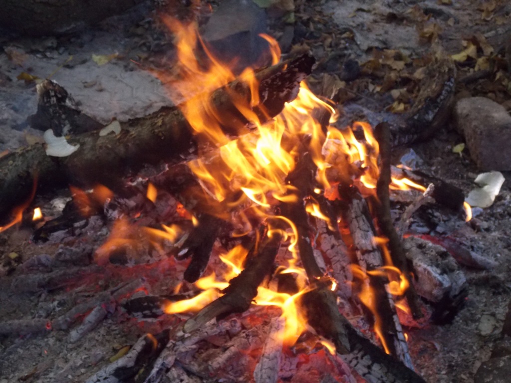 DSCN0591.jpg