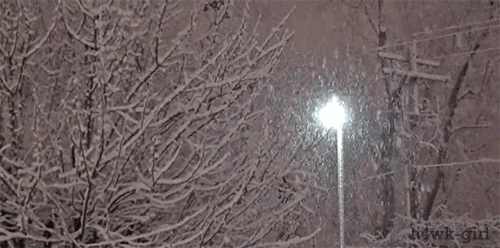 tumblr_min0zwMn091qjnqapo1_500.gif