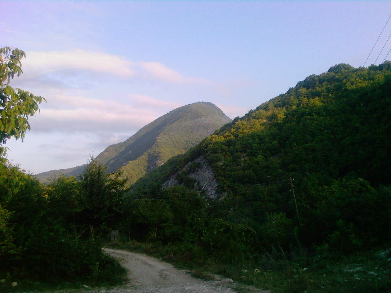 A_0203.jpg