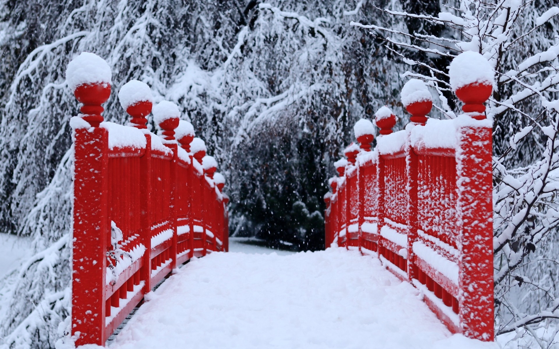 Winter_Season_Snow_Trees_Red_Bridges.jpg