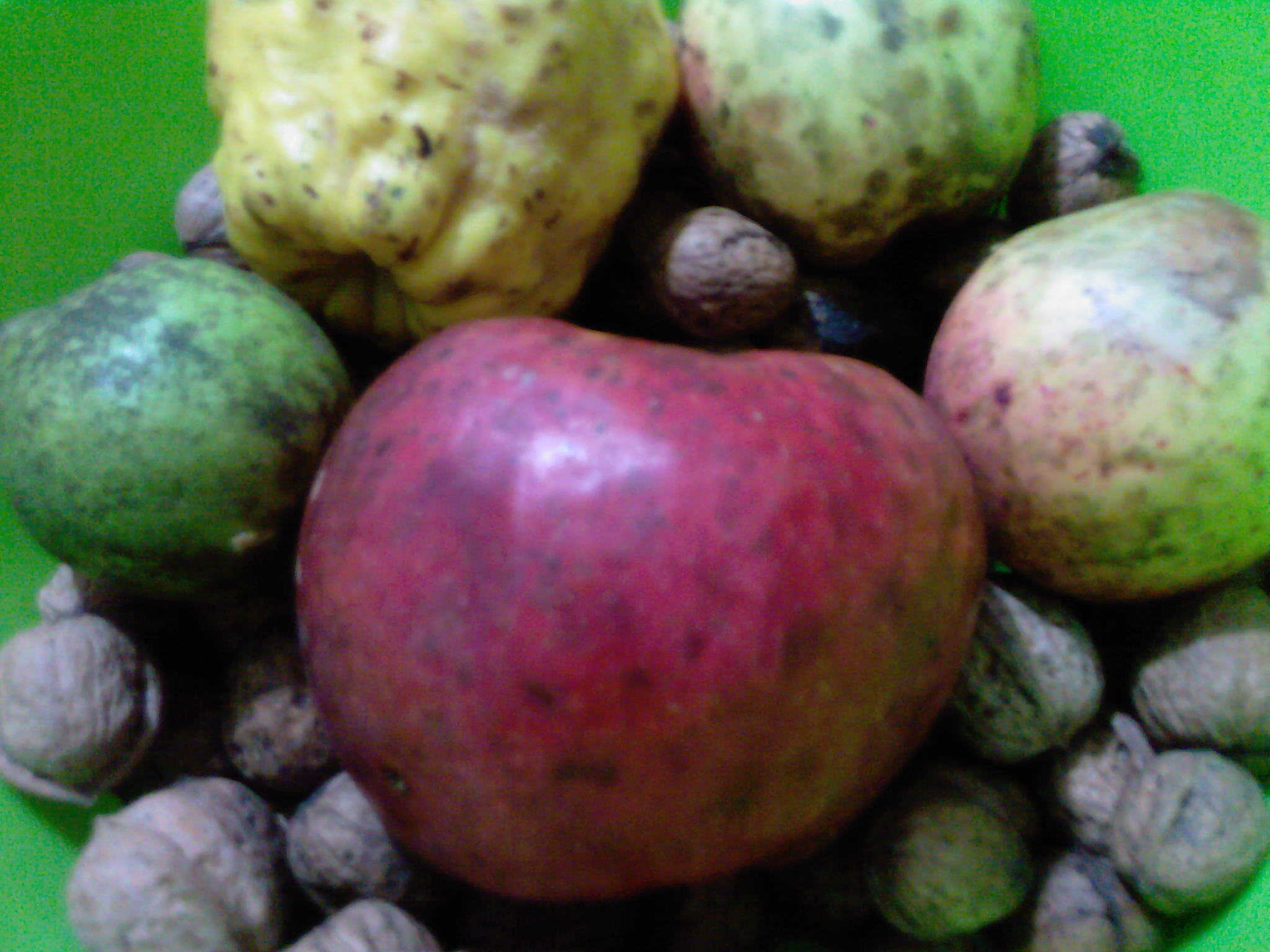 A_0024.jpg
