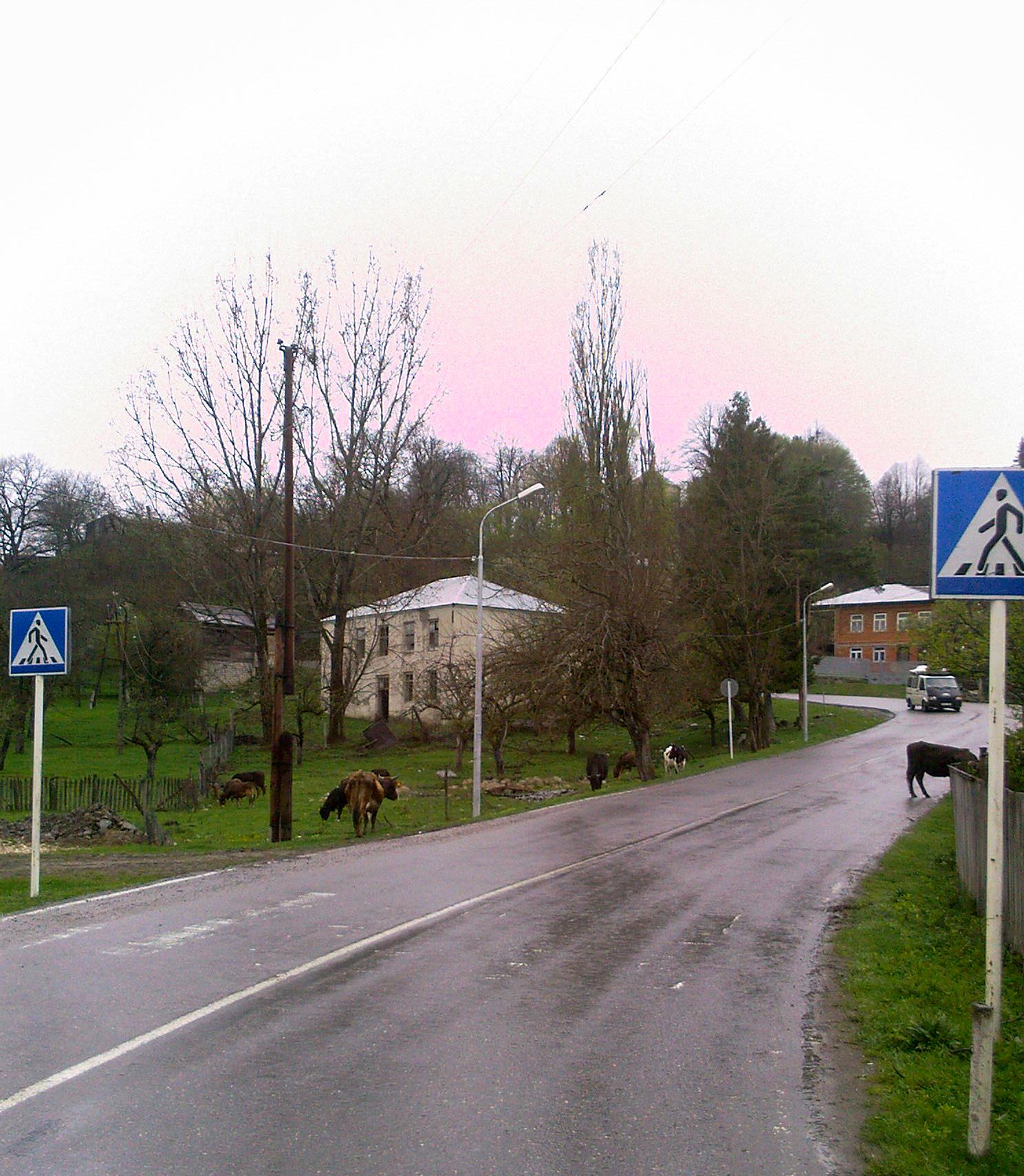 A_0073_____________.jpg
