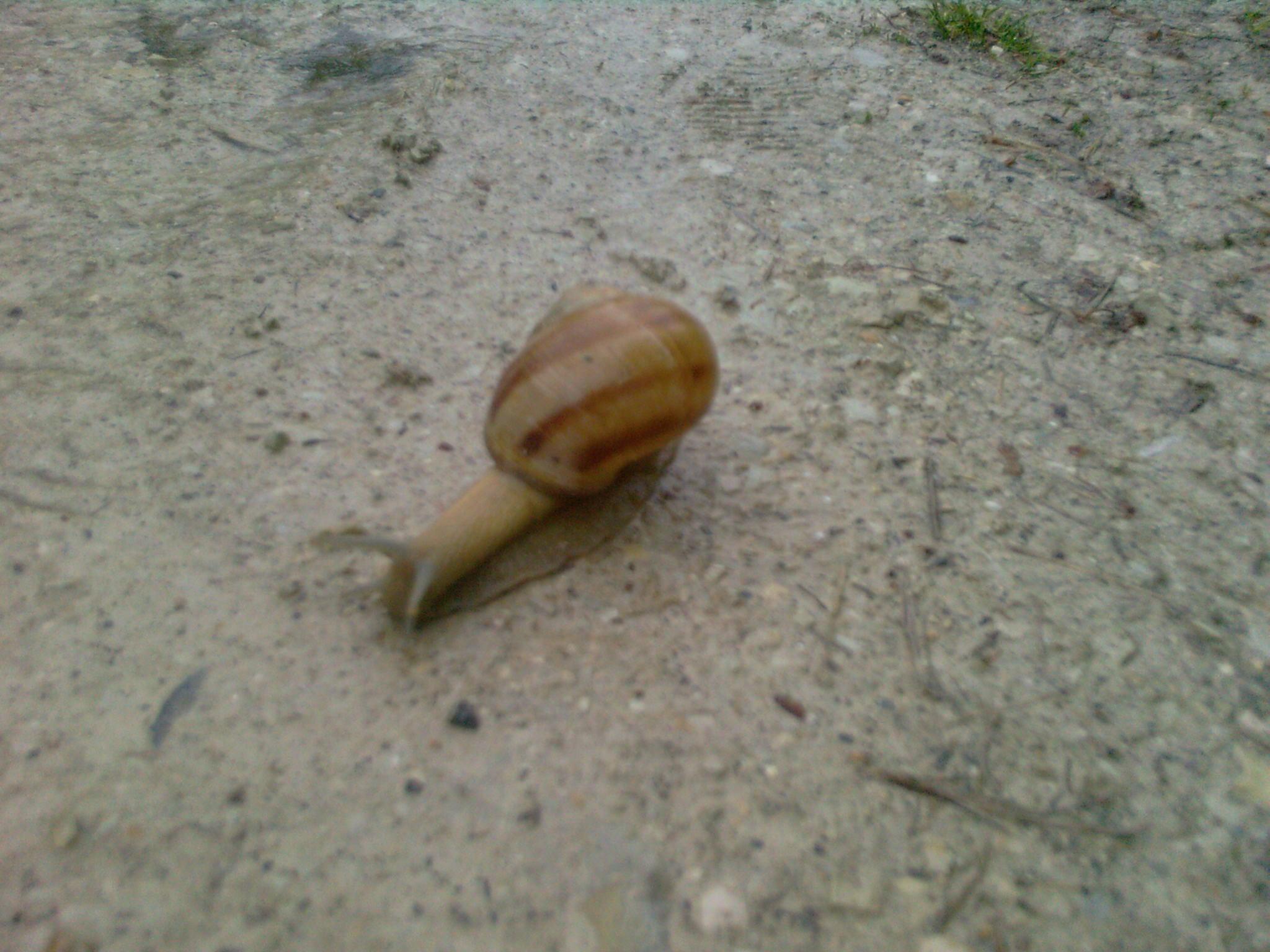 A_0062.jpg